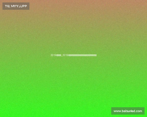 2019荷甲赛程_2019赛季荷兰足球乙级联赛赛事深度剖析与全面解析报告